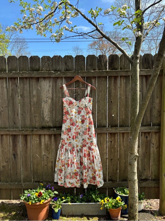 House of CB Dresses & Skirts - House of CB Elia Italian Rose Print Midi Dress